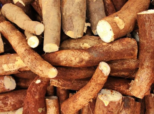 Fresh and High-Quality Cassava for Sale