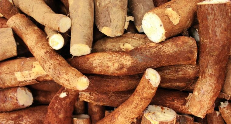 Fresh and High-Quality Cassava for Sale