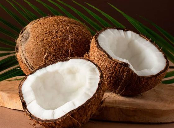 Fresh and High-Quality Coconuts for Sale