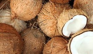 Fresh and High-Quality Coconuts for Sale