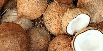 Fresh and High-Quality Coconuts for Sale