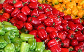 Fresh and High-Quality Peppers for Sale