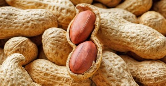 Premium Quality Groundnuts for Sale