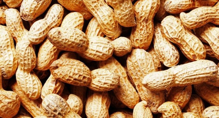 Premium Quality Groundnuts for Sale