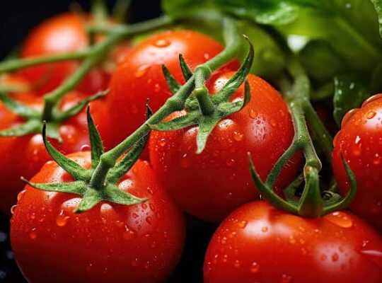 How to Start and Succeed in Tomato Farming in Nigeria