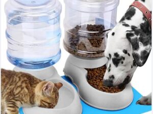 Automatic Pet Feeder for Puppies & Kittens