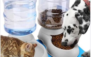 Automatic Pet Feeder for Puppies & Kittens