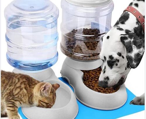 Automatic Pet Feeder for Puppies & Kittens