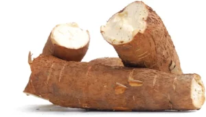 Cassava Processing Business in Nigeria: The New Goldmine