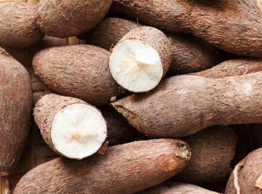 Cassava Processing Business in Nigeria: The New Goldmine