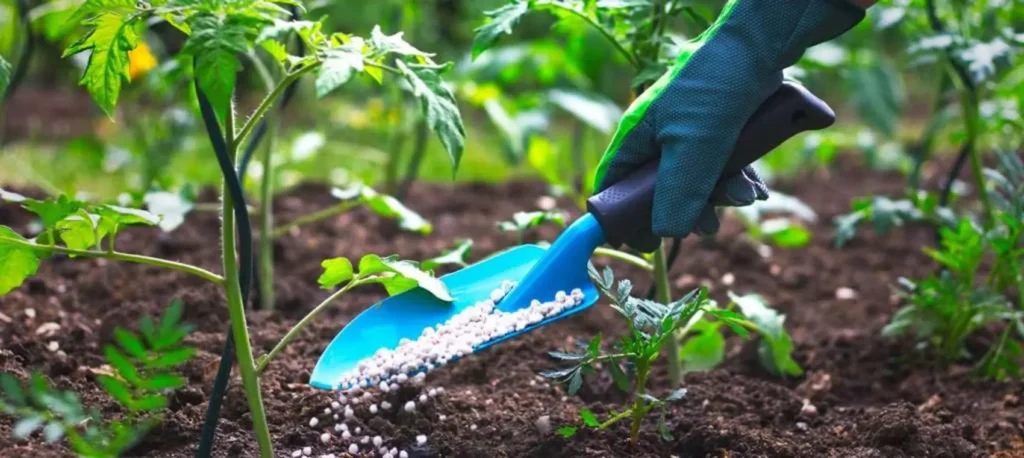 Make Organic Fertilizer in Nigeria & Boost Farm Productivity