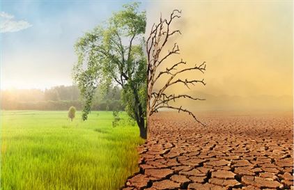 The Impact of Climate Change on Nigerian Agriculture and How to Adapt