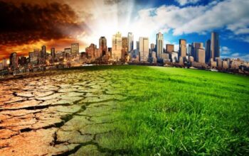 The Impact of Climate Change on Nigerian Agriculture and How to Adapt