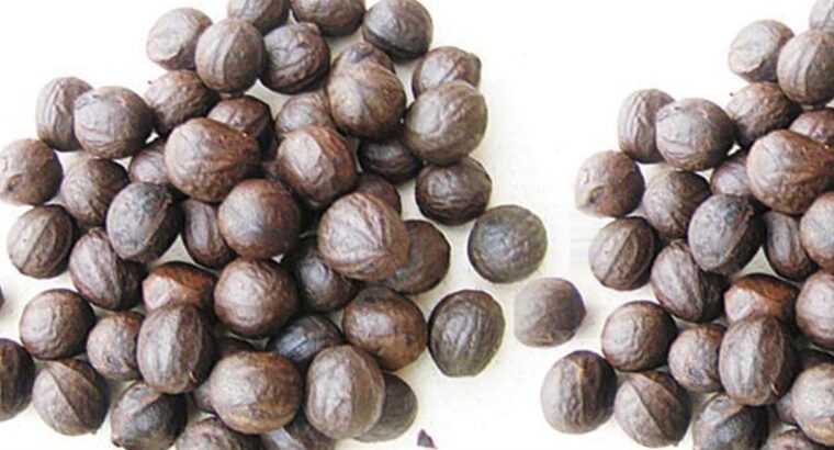 The Ultimate Guide to Walnut Farming in Nigeria: From Seed to Profit