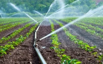 The Role of Irrigation Systems in Nigerian Agriculture: A Comprehensive Guide