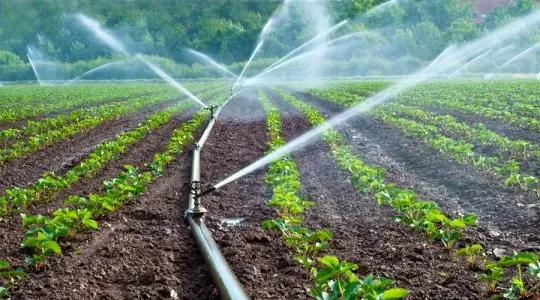 The Role of Irrigation Systems in Nigerian Agriculture: A Comprehensive Guide