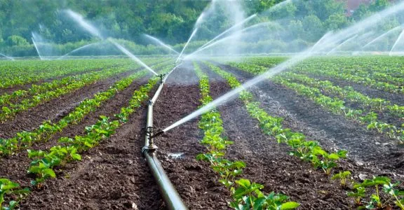 The Role of Irrigation Systems in Nigerian Agriculture: A Comprehensive Guide